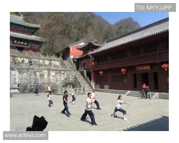 世界人士武当山问道太极 世界人士武当山问道太极
