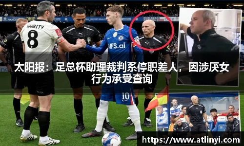 太阳报：足总杯助理裁判系停职差人，因涉厌女行为承受查询